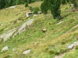 IMG_0044