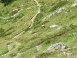 IMG_0045