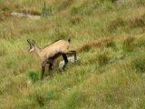 IMG_0046