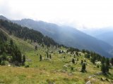 IMG_0056