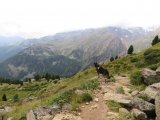 IMG_0112