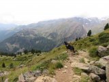 IMG_0114