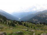 IMG_0115