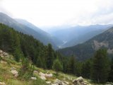 IMG_0120