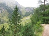 IMG_0133