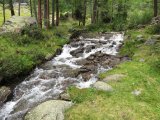 IMG_0139