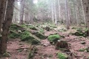IMG_0001