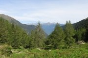 IMG_0004