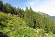 IMG_0007