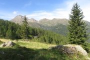 IMG_0010