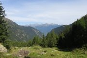 IMG_0012