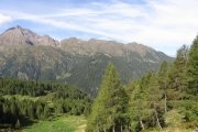 IMG_0020