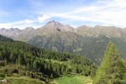 IMG_0022