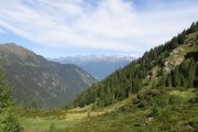 IMG_0024