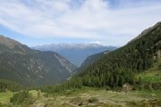 IMG_0033