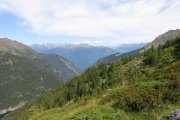 IMG_0052