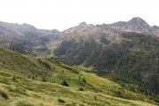 IMG_0067