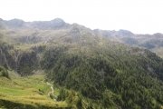IMG_0084
