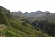 IMG_0088