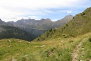 IMG_0101