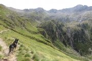 IMG_0104