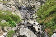 IMG_0107
