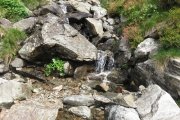 IMG_0109