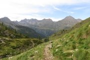 IMG_0115