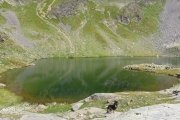 IMG_0162