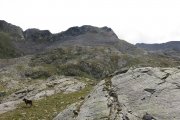 IMG_0171