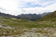 IMG_0174