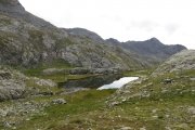 IMG_0184