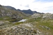 IMG_0216