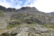 IMG_0223