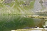 IMG_0230