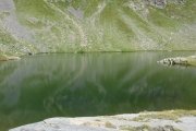 IMG_0236