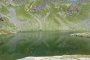 IMG_0238