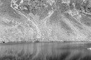 IMG_0239