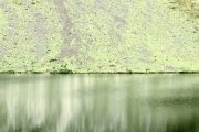IMG_0242