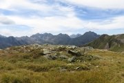 IMG_0310