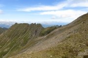 IMG_0330