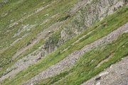 IMG_0339