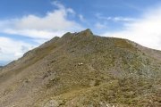 IMG_0349