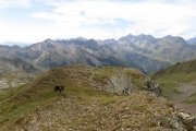 IMG_0361