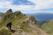 IMG_0387