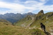 IMG_0389