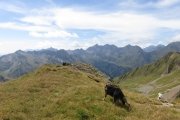 IMG_0390