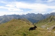IMG_0391