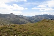 IMG_0393