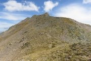 IMG_0397